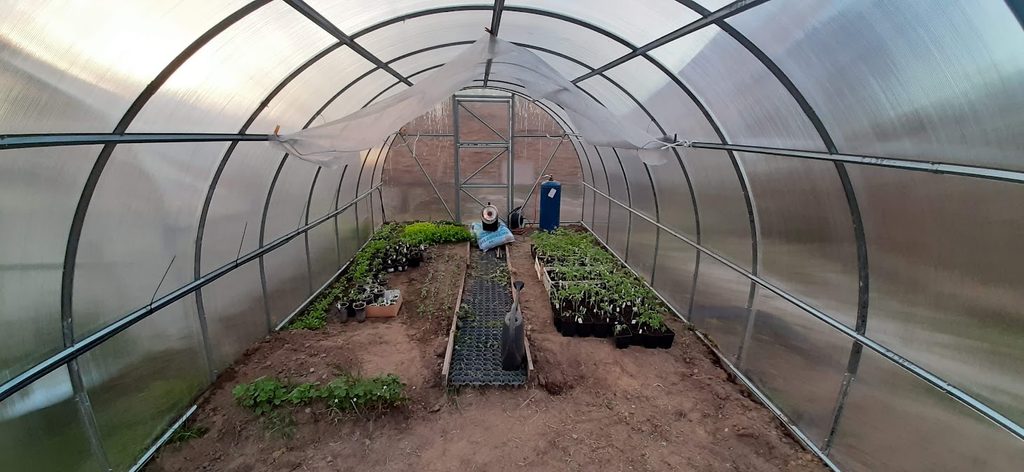 Interior of finished 6m polycarbonate greenhouse with plants