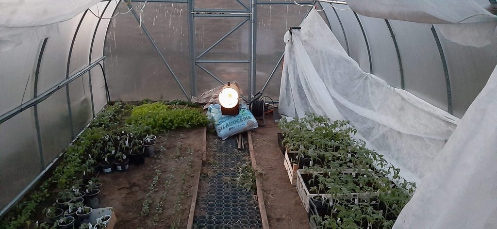 Gas greenhouse heater operating with temporary extension lead