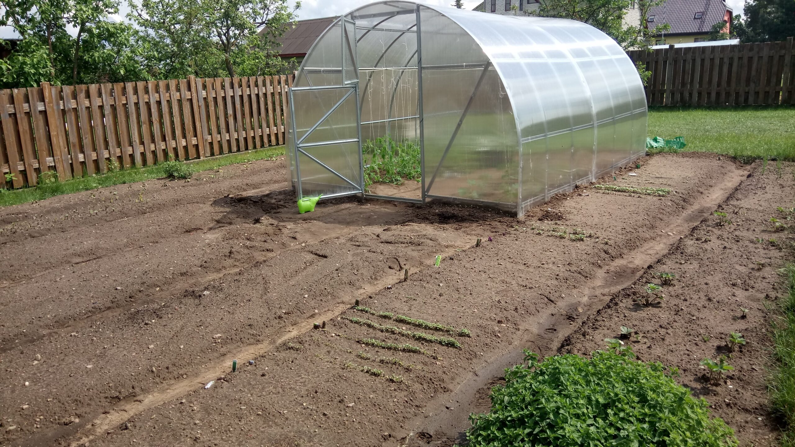 Completed polycarbonate greenhouse with an open door beside vegetable beds.