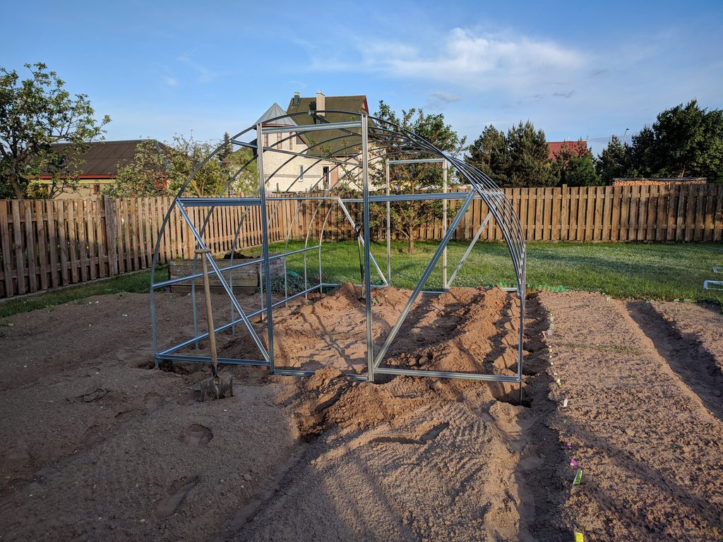 Front view of the greenhouse frame in the vegetable garden, with holes around its ground legs.
